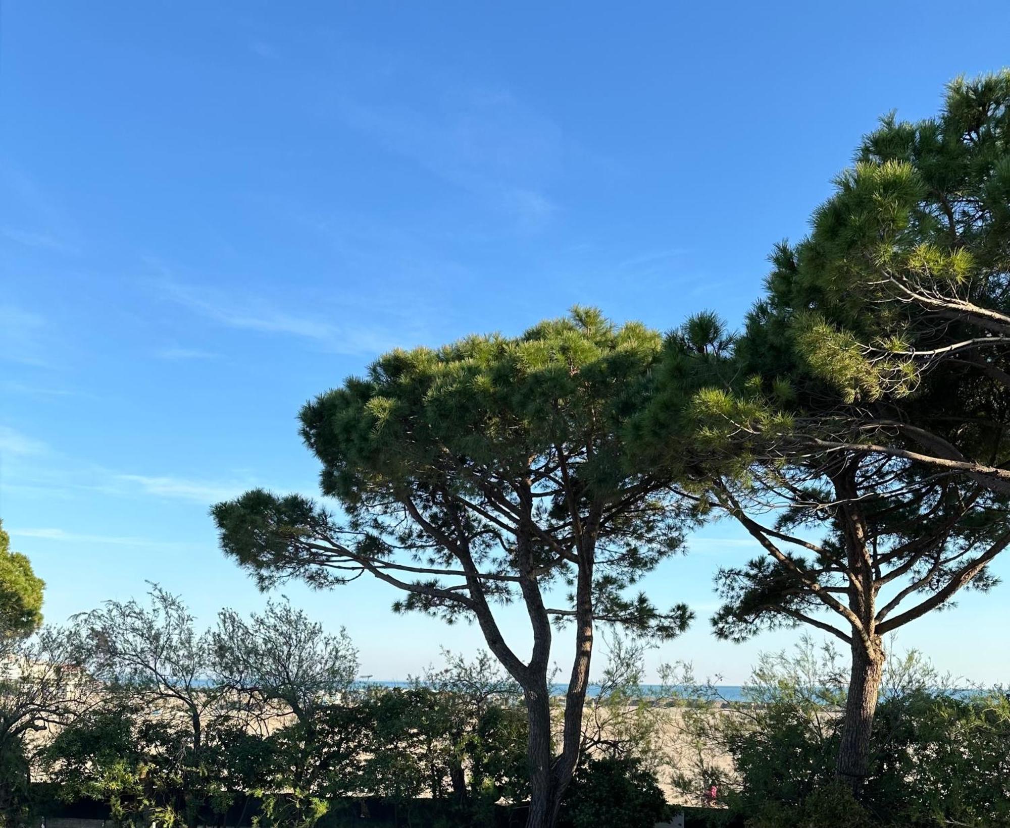 Porto San Vito Resort グラード エクステリア 写真